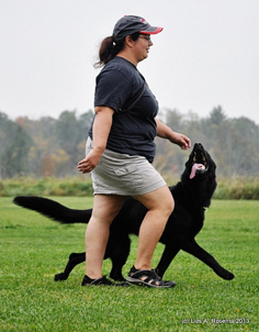 ceridwen zu treuen handen IPO2 RN german shepherd  heel